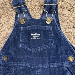 Vintage Oshkosh Bib Overalls